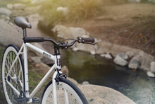 Load image into Gallery viewer, Zulu !
