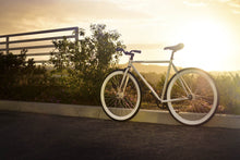 Load image into Gallery viewer, Zulu !
