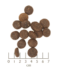 Load image into Gallery viewer, Wolfsblut - Blue Mountain
