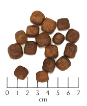 Load image into Gallery viewer, Wolfsblut - Dark Forest
